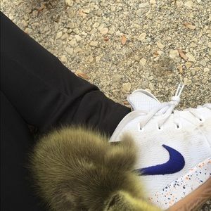 Meet your Posher, Steven